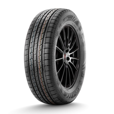 Doublestar DS01 225 60 R17 99H
