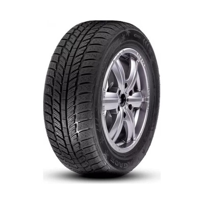 ROADX FROST WH01 195 55 R15 85 H 